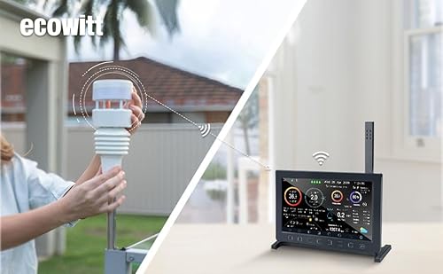Ecowitt Wittboy Weather station